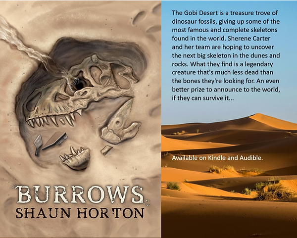 Burrows Ad_edited.png