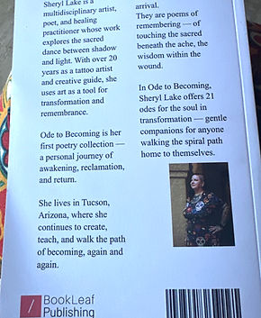 back of book_edited.jpg