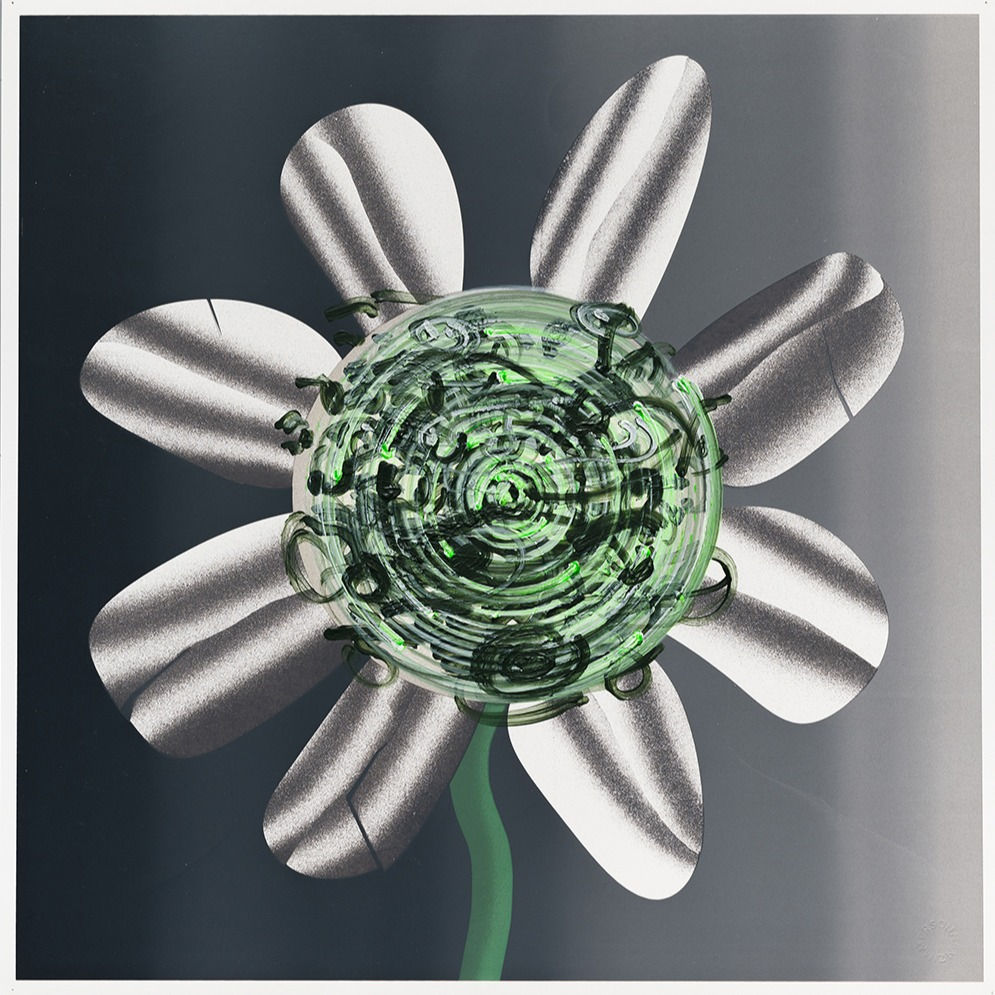 Flower Tongue, Nirvana