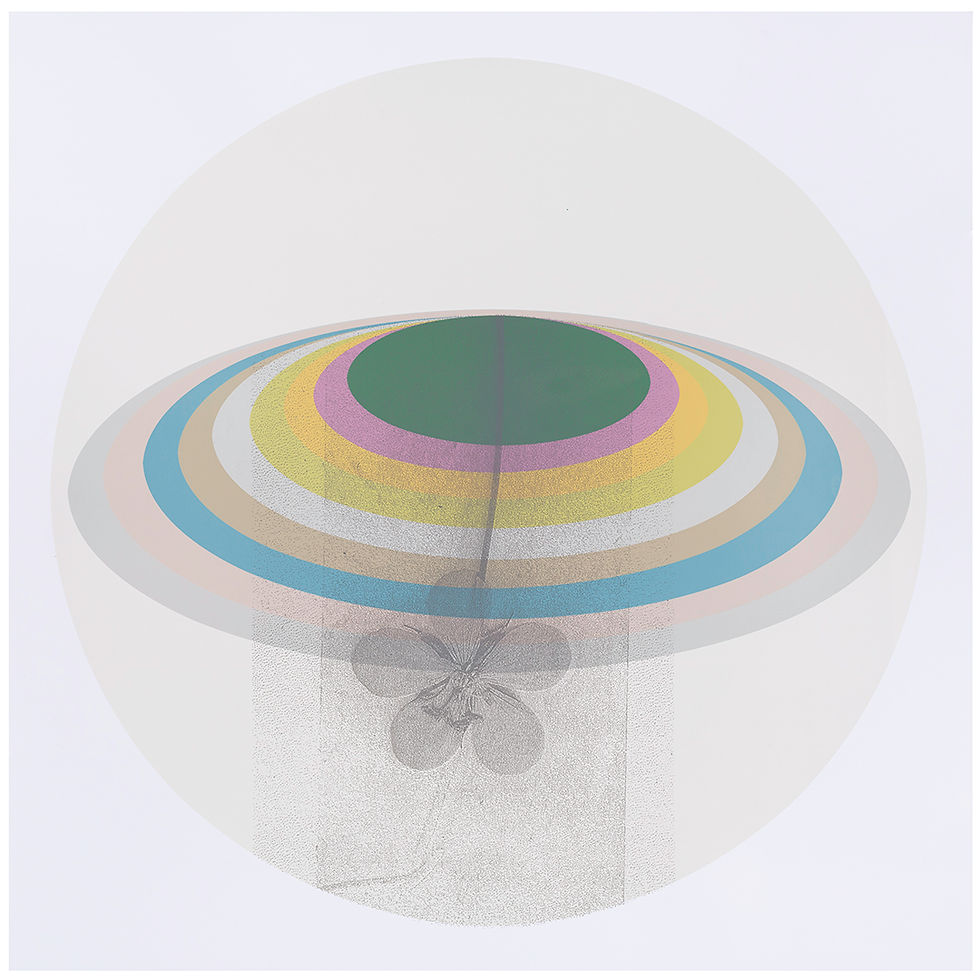 Thumbnail: Carrier Shell: Holographic Principle