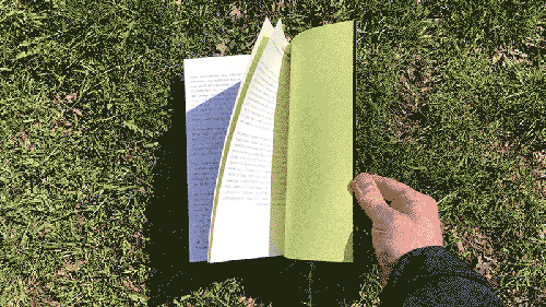 3SL grassy reverse.gif