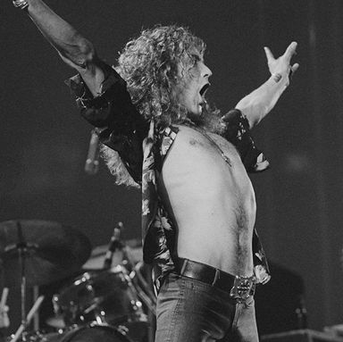 Robert Plant