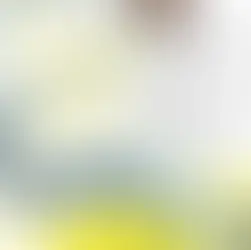 Van Halen - M&M incident