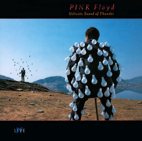 Pink Floyd - Delicate Sound of Thunder