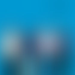 Weezer - Weezer (Blue Album)