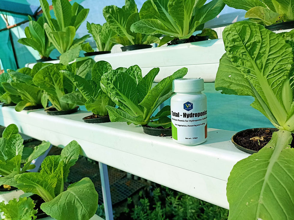 Thumbnail: All Purpose Hydroponic Nutrient.