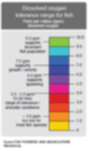 Aquaponics_3.png