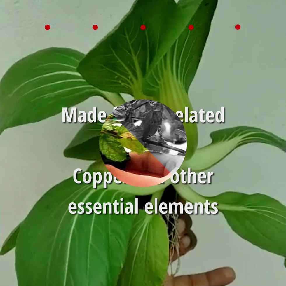 Thumbnail: Total STEM