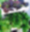 VR INTERNATIONAL 4.jpg
