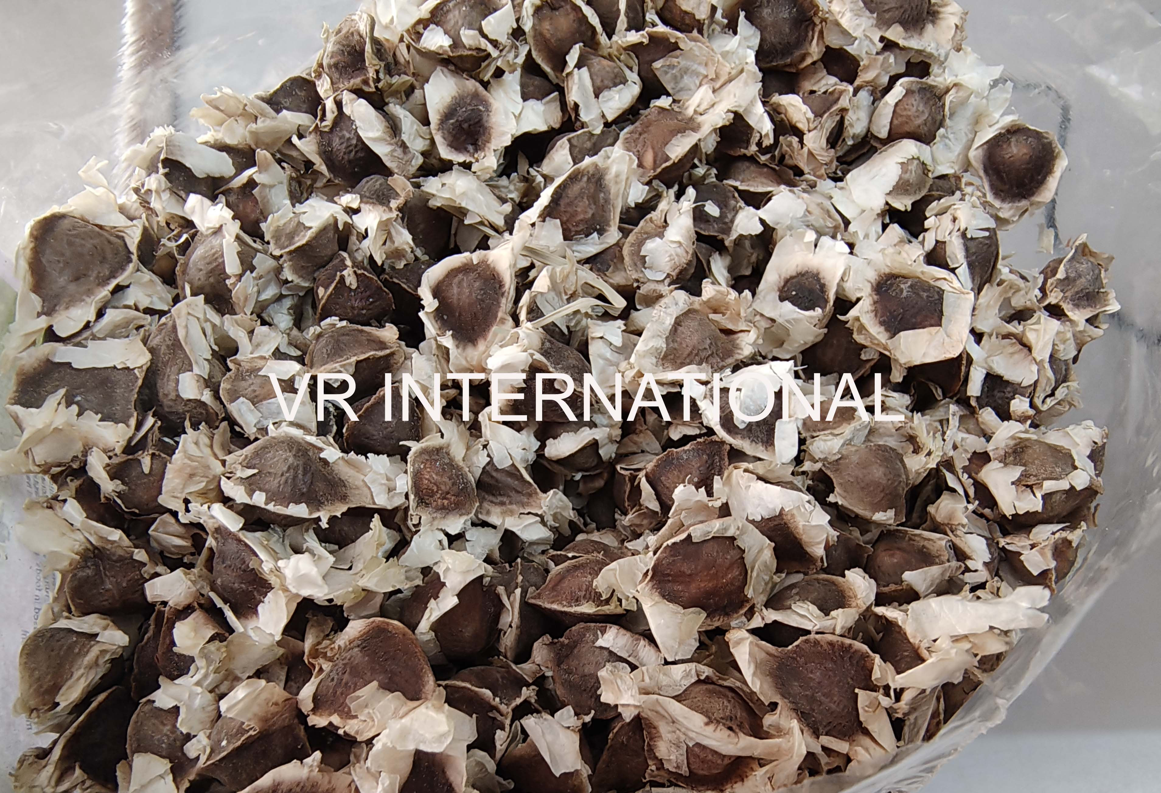 Moringa/Drumstick Seeds