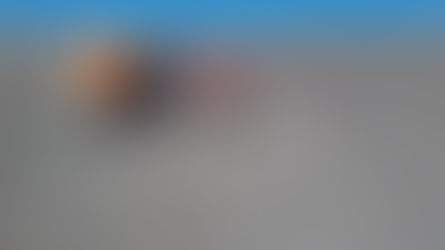 La Rioja : Avanza la perforación en el proyecto de cobre Peñas Negras