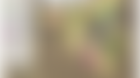 Chile: Confirman sistema aurífero de gran escala en el proyecto San Pietro