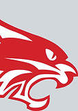 bobcat clear_edited_edited.jpg