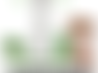 French court orders 4G antenna switch-off over cow health concerns