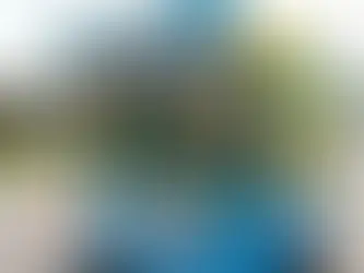 Shark Attack Water Race: A Carnival Game That Makes a Splash