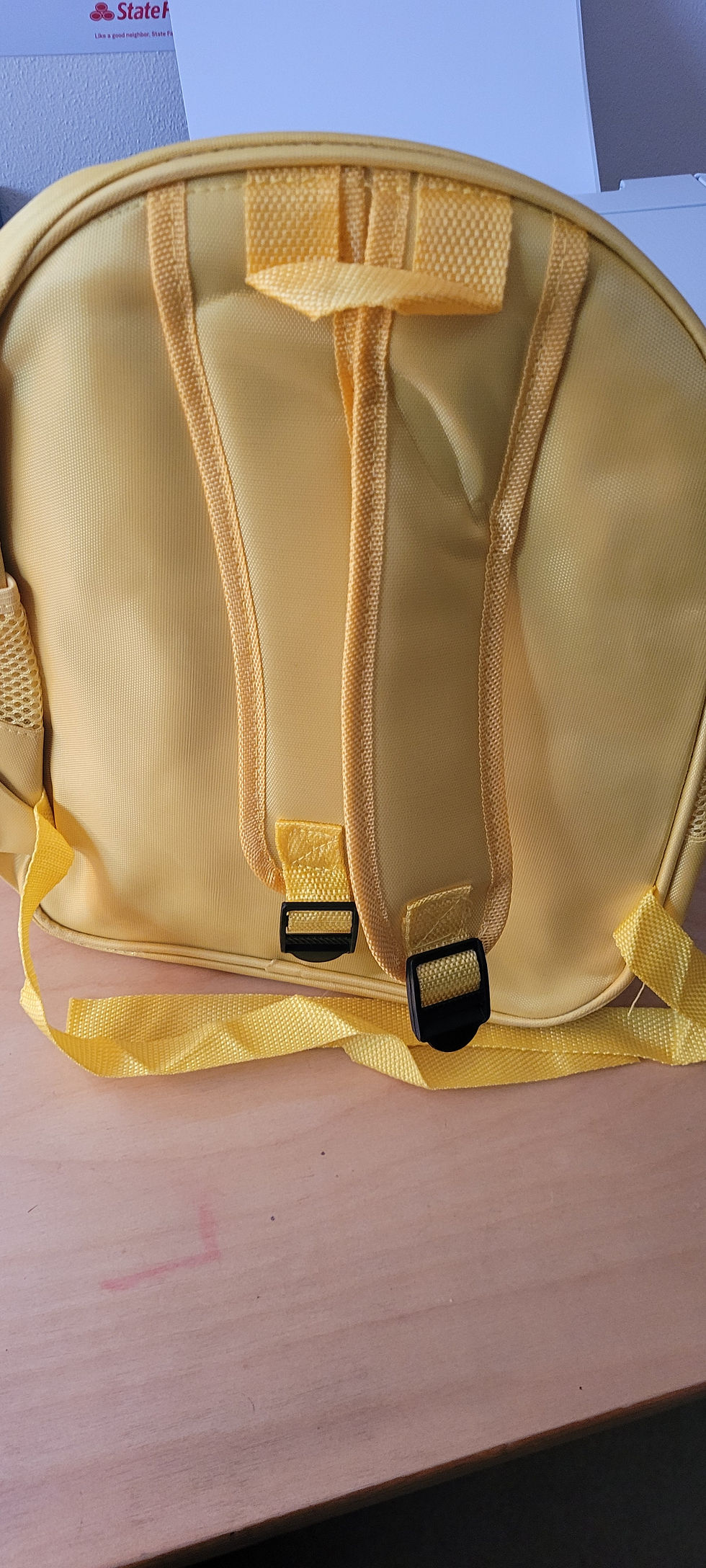Thumbnail: Colored Childrens Back Packs