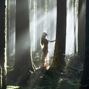 Sagittarius New Moon December 2025