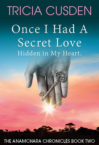 Once I Had A Secret Love Cover SMALL WEB.jpg