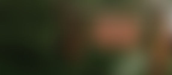 Torey and Michael//Snowy Range Lodge//Centennial, WY