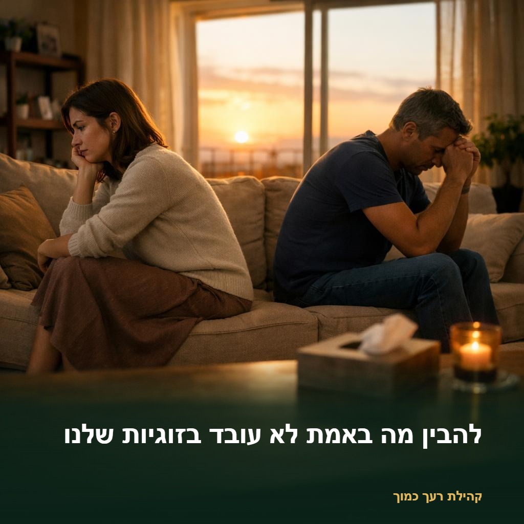 להבין מה באמת לא עובד בזוגיות שלנו