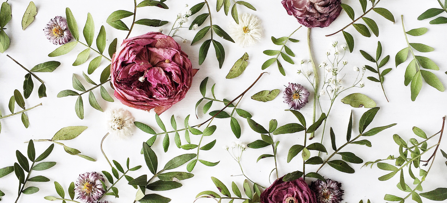 Arranged Food and Objects