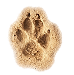 Pawprintsand