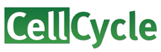 logo-ccy.gif