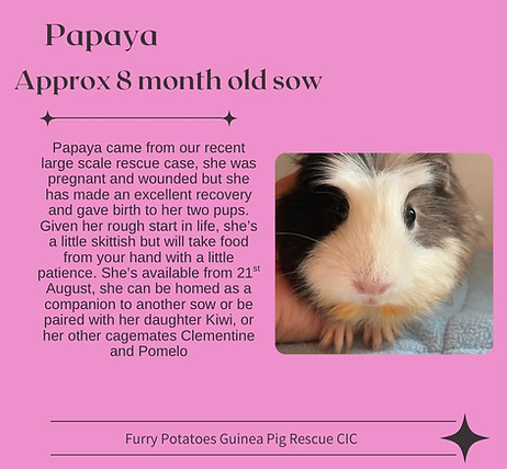 Papaya.jpg