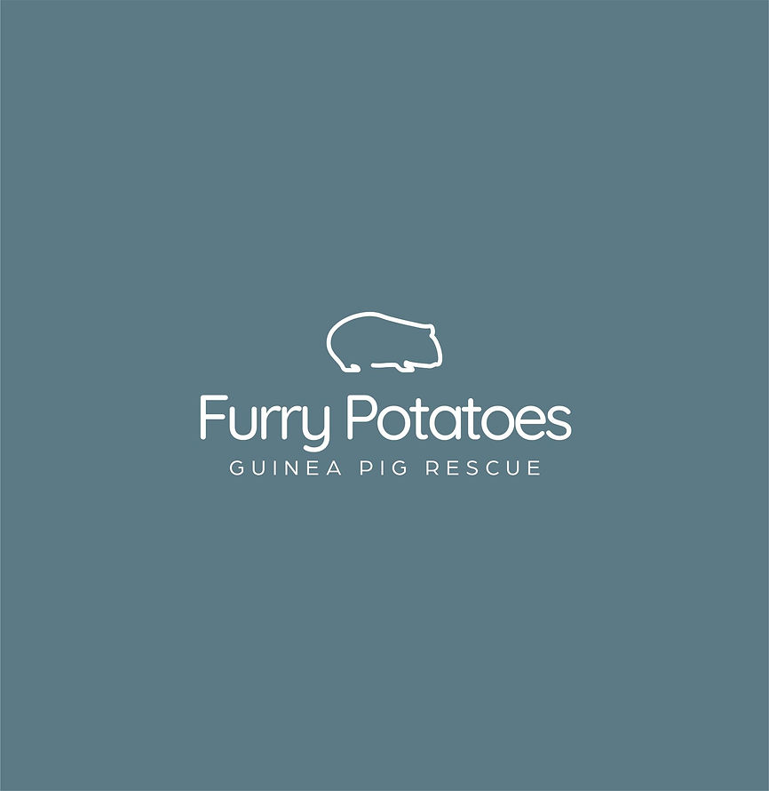 fpgr blue logo.jpeg