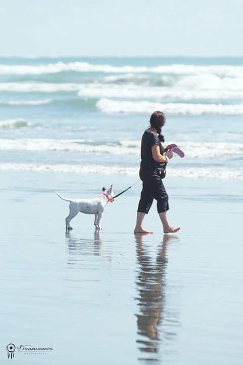 Carters Beach, March 2015