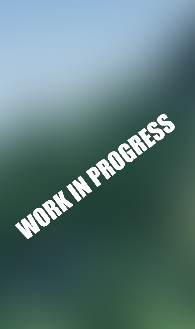 Work in progress.png