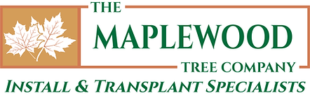 The Maplewood Company new logo Web Icon.png