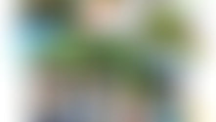 6月ゆうあい写真館