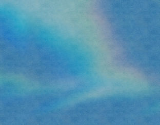 texture_noji.jpg