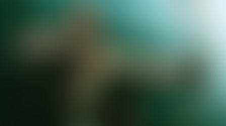 The Basic income conference