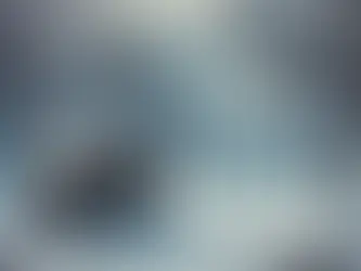 Beneath the Frozen Veil