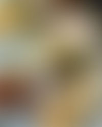 イスラエルランチ♪