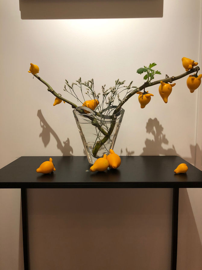 どう見ても狐、、、