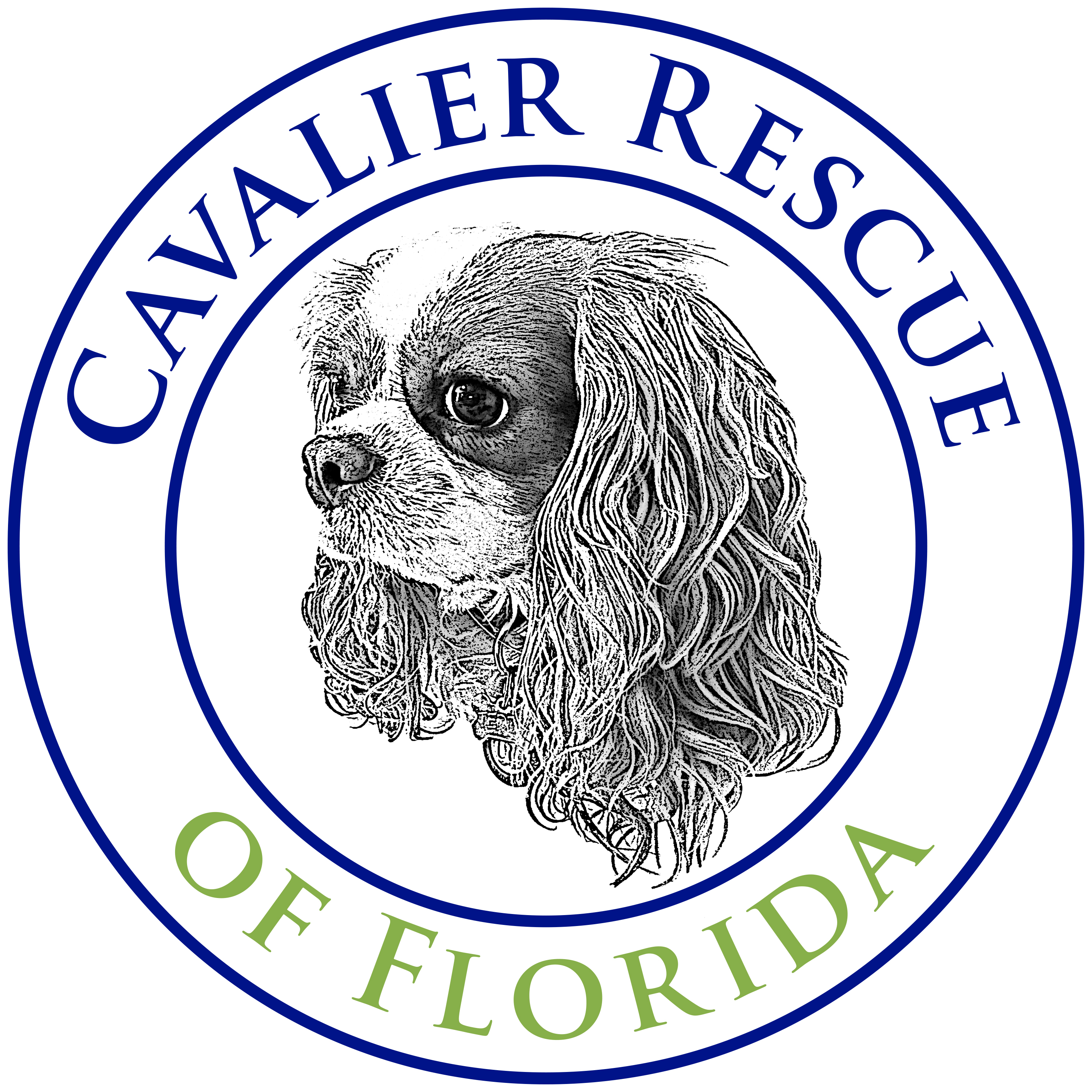 Cavalier Rescue of Florida logo
