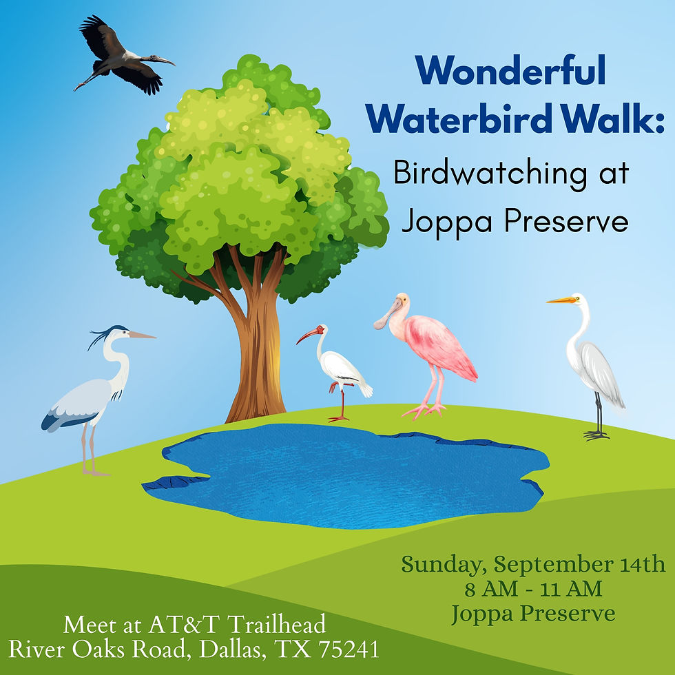 Wonderful Waterbird Walk