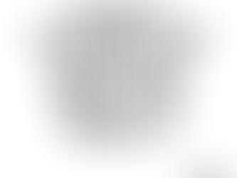 Mobile Notary and Apostille Services: What to Expect