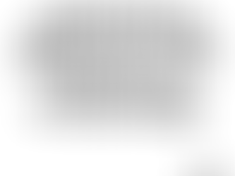 Apostille Services for Immigration and Dual Citizenship