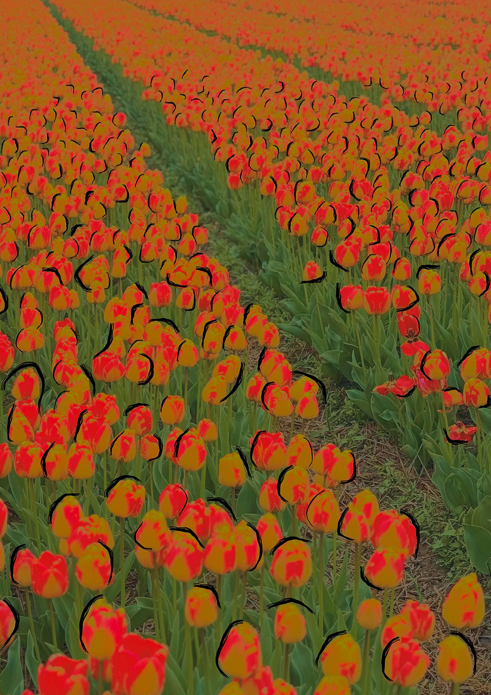 A1 - Blooming.jpeg