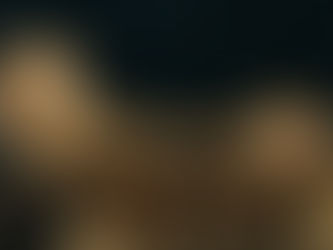 From Voices to Pages: The Evolution of Storytelling