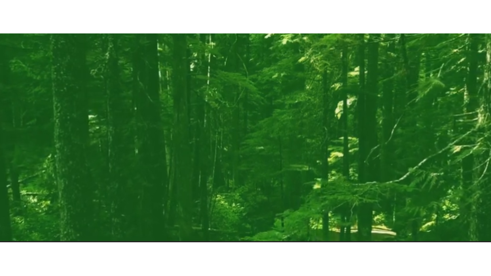 Biophilic Design Patterns: Emerging Nature-Based Parameters for Health and Well-Being content media