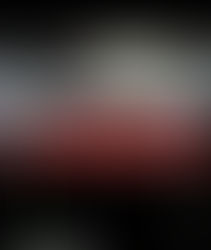 WHAT HAVE WE BEEN UP TO? 