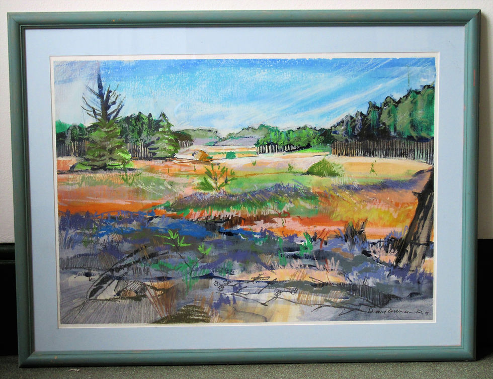 David C - Indistincly signed