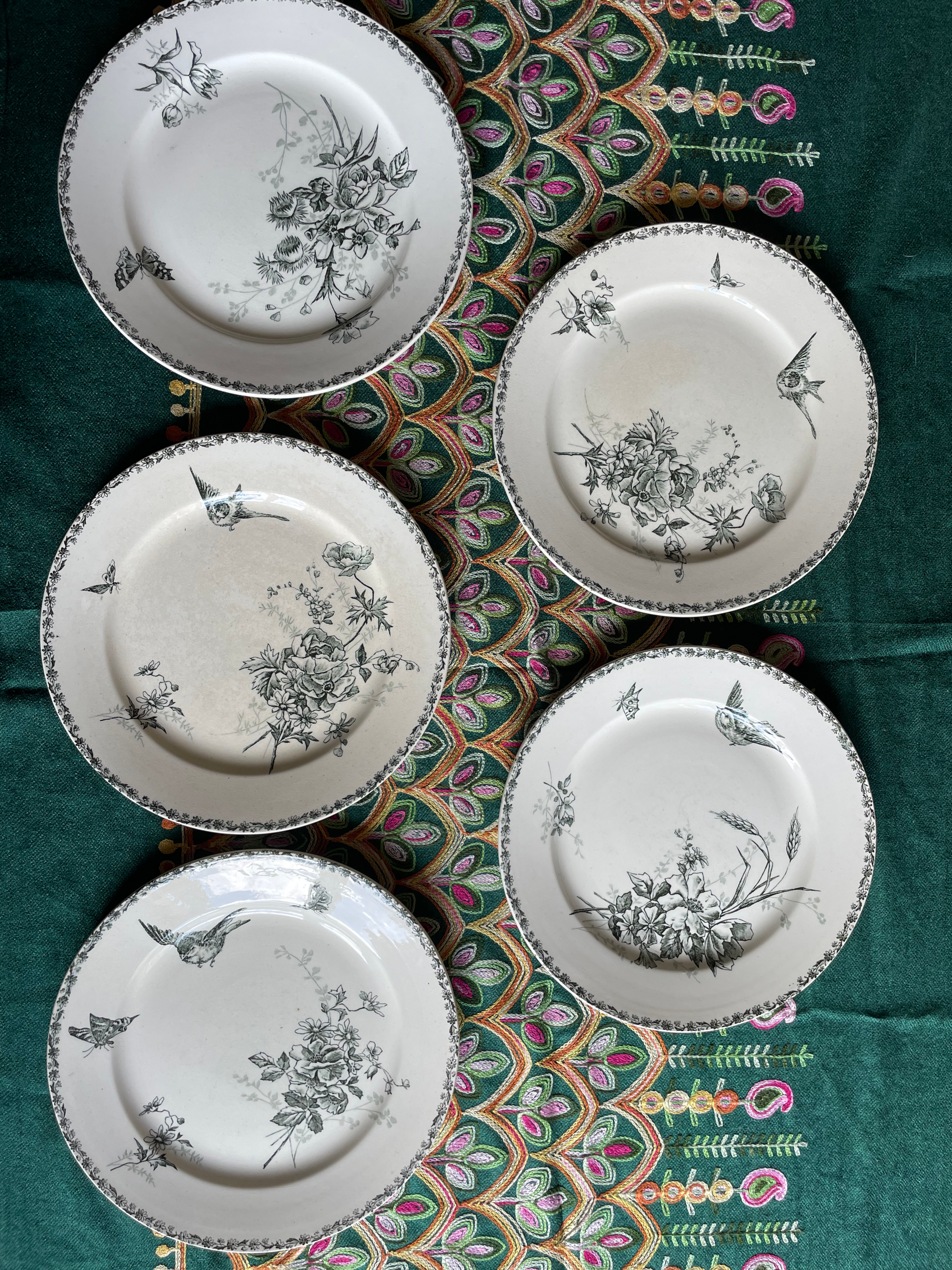 Lot de 5 assiettes plates 