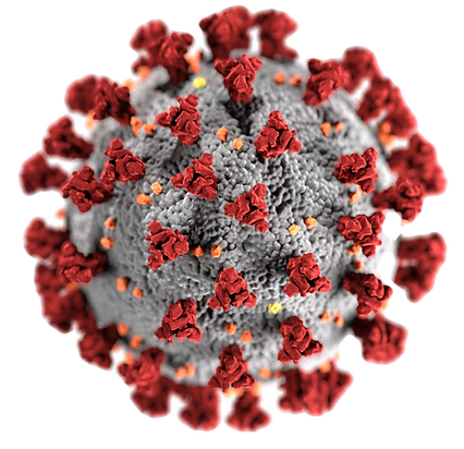 This illustration, created at the Centers for Disease Control and Prevention (CDC), reveal