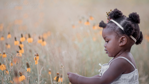 Amanda Ashley Imagery - Boise Photographer